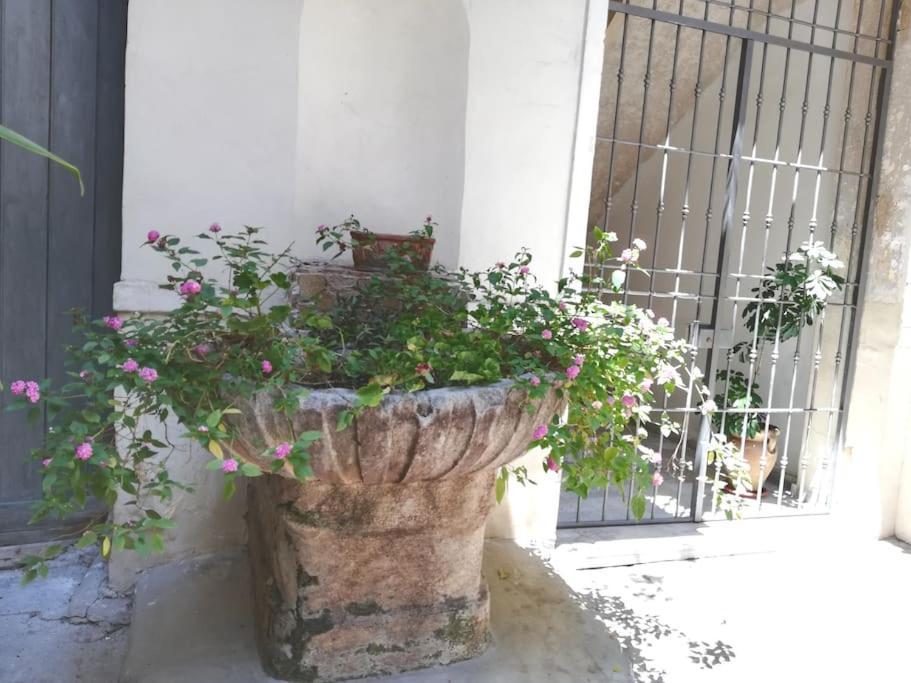 Residenza Lincoln Appartement Palermo Buitenkant foto